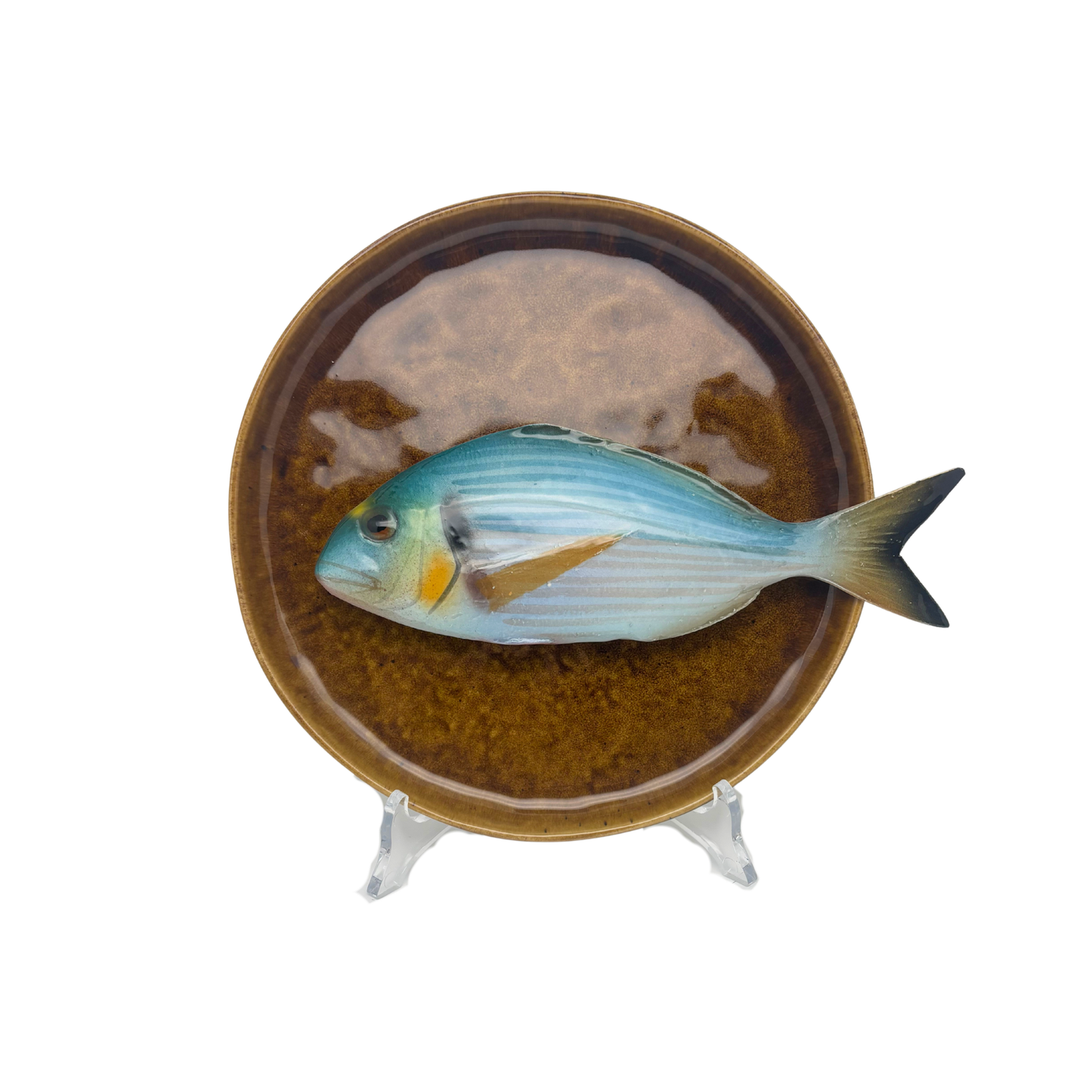 Orata medio op een bruin/goud bord, 21cm