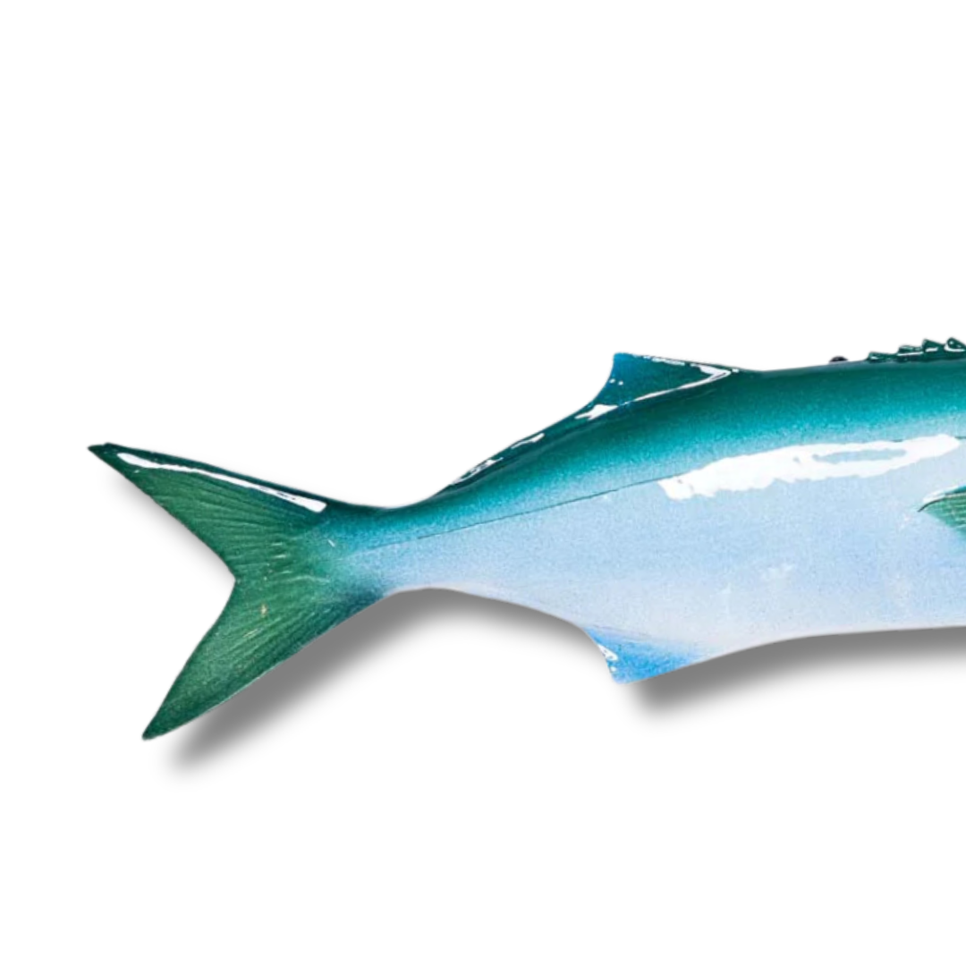 Serra / Bluefish 40 cm