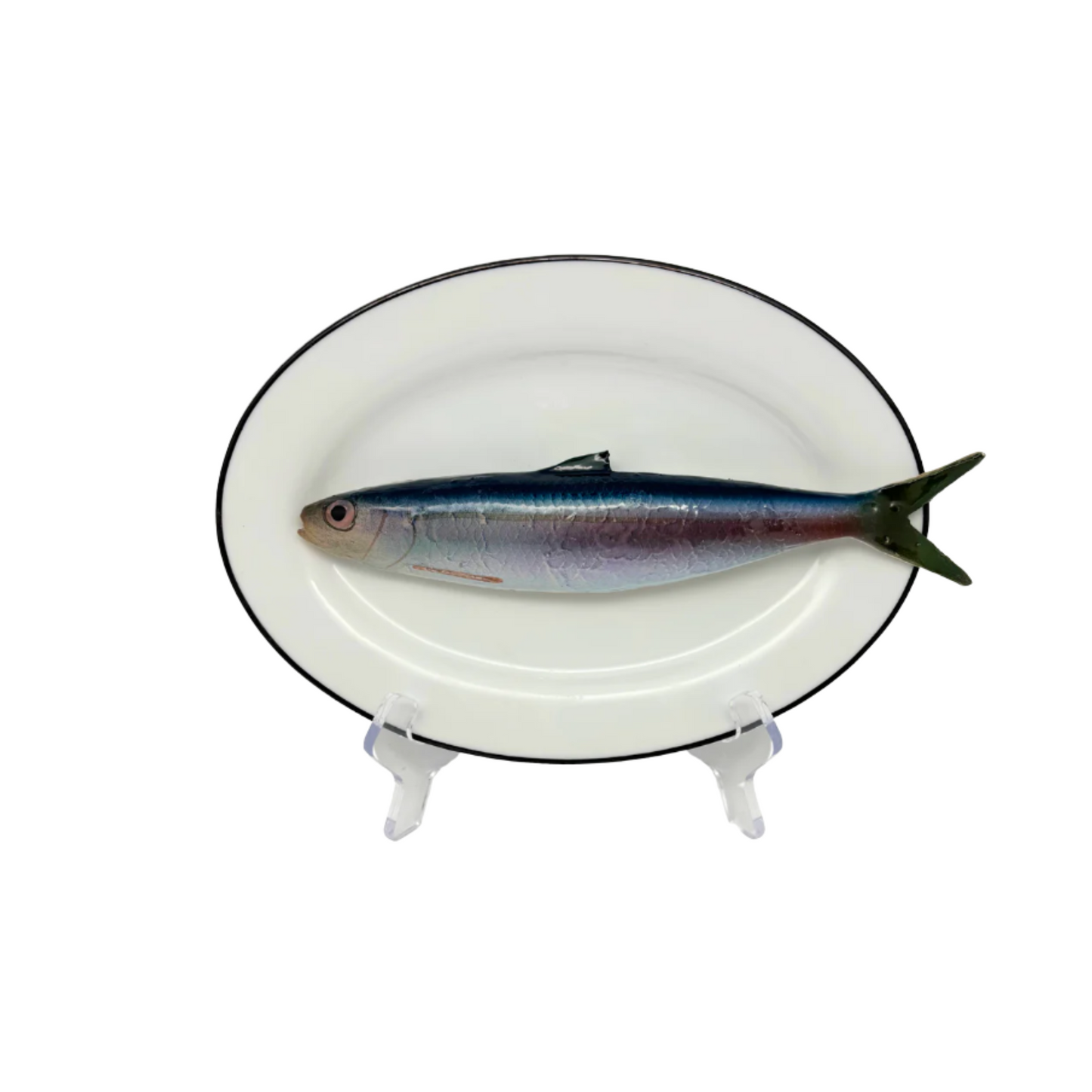 Alaccia/Haring op ovaal wit bord met donker grijze rand
