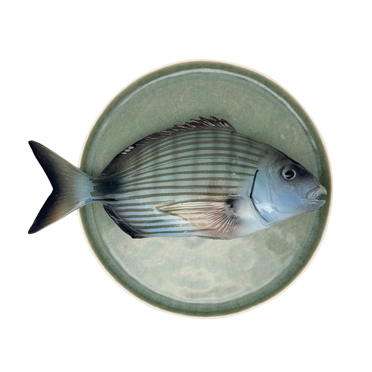 Sarago Grande op pistache groen bord, 28 cm