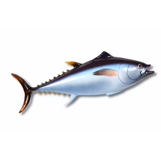 Tonno Grande, 65cm lang