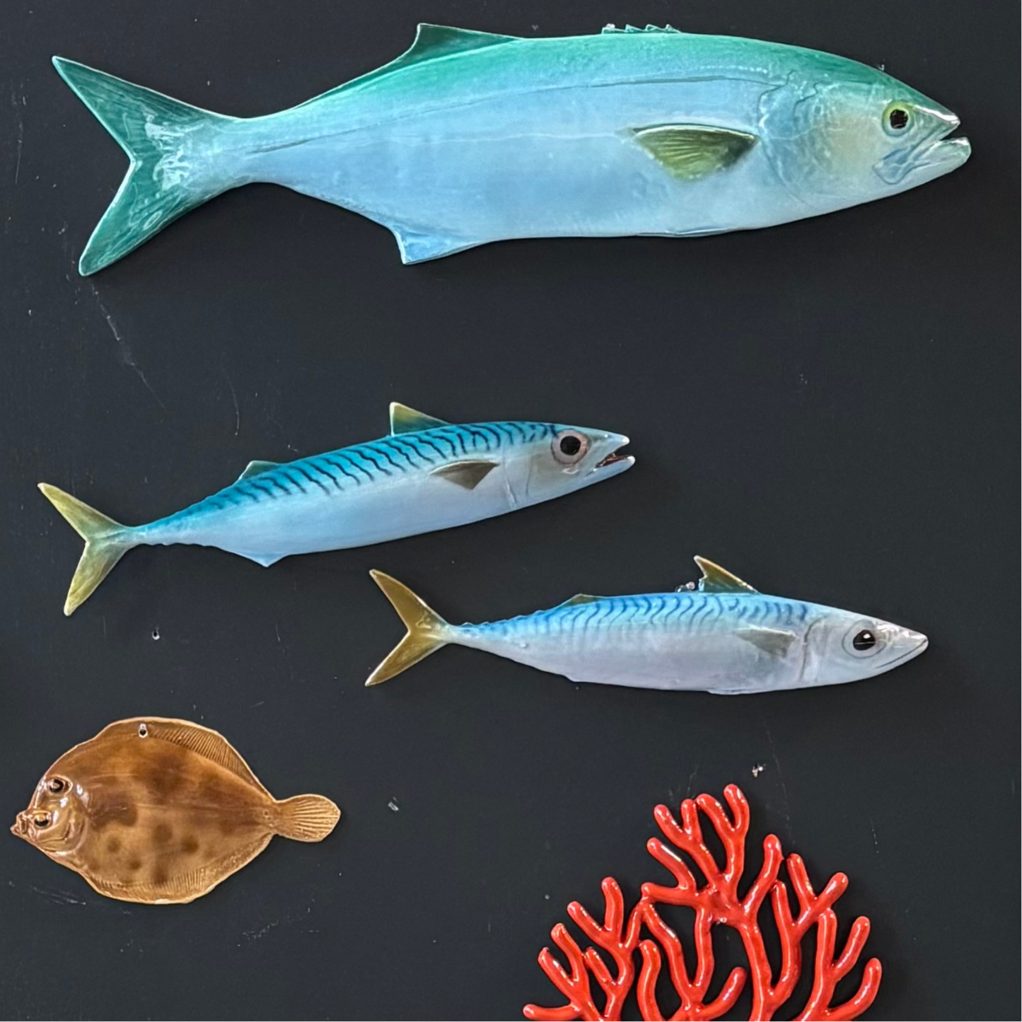 Makreel/Sgombro, 28 cm