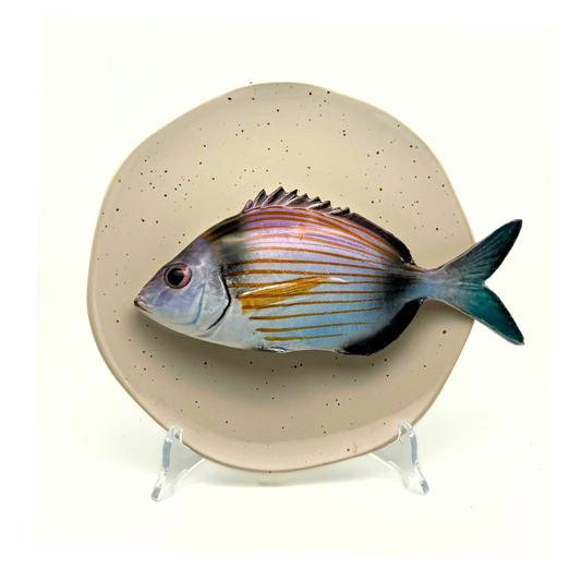 Viatora op kiezel/grijs, hoekig bord, 20 cm