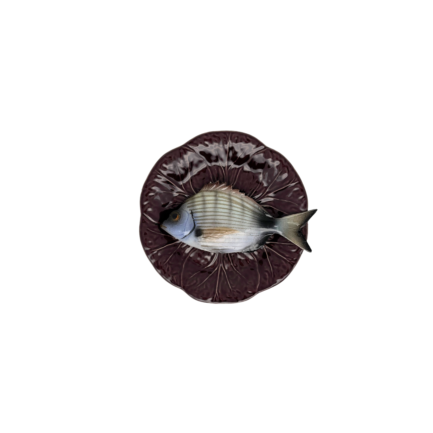 Sarago medio op een aubergine bladvormig bordje, 20cm