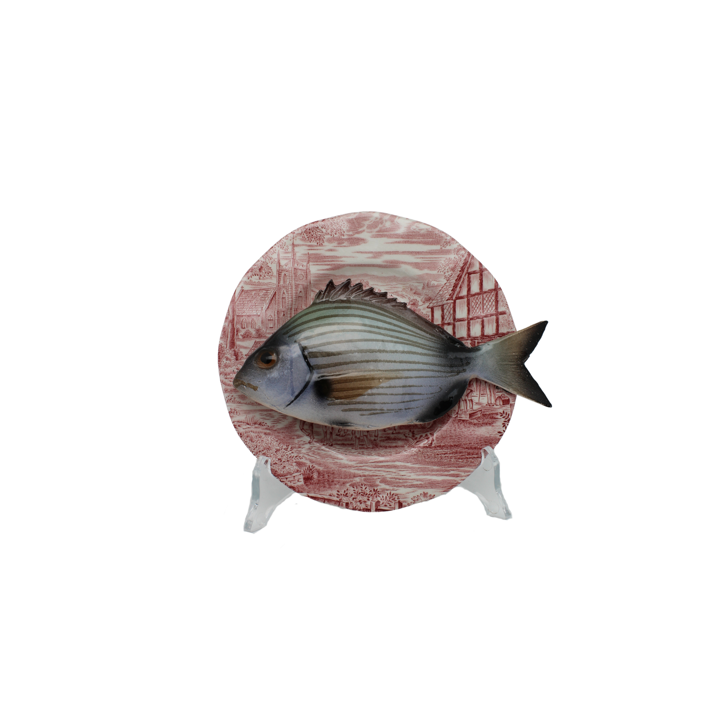 Sarago medio op roze vintage bord, 16 cm rond