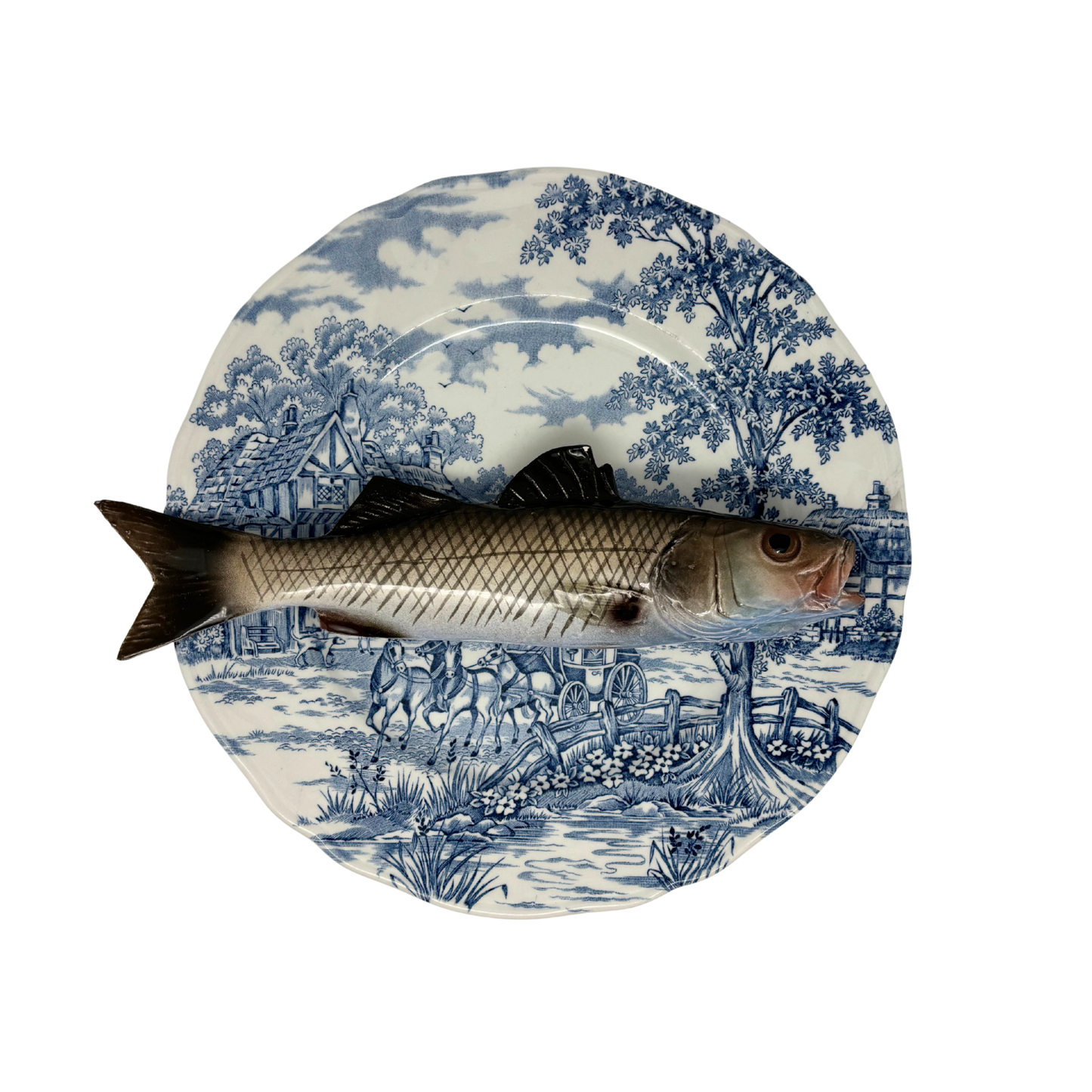 Spigola op blauw vintage bord, 25 cm rond