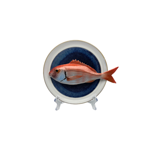 Pagello op blauw bord met lichte rand, 17 cm