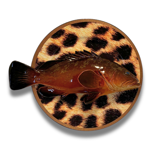 Cernia Multo Grande op tijgerbord, 33cm rond.