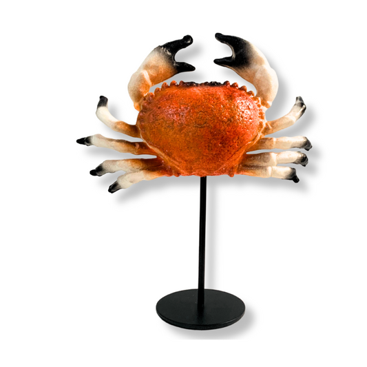 Kunst KRAB op standaard (polymeer)