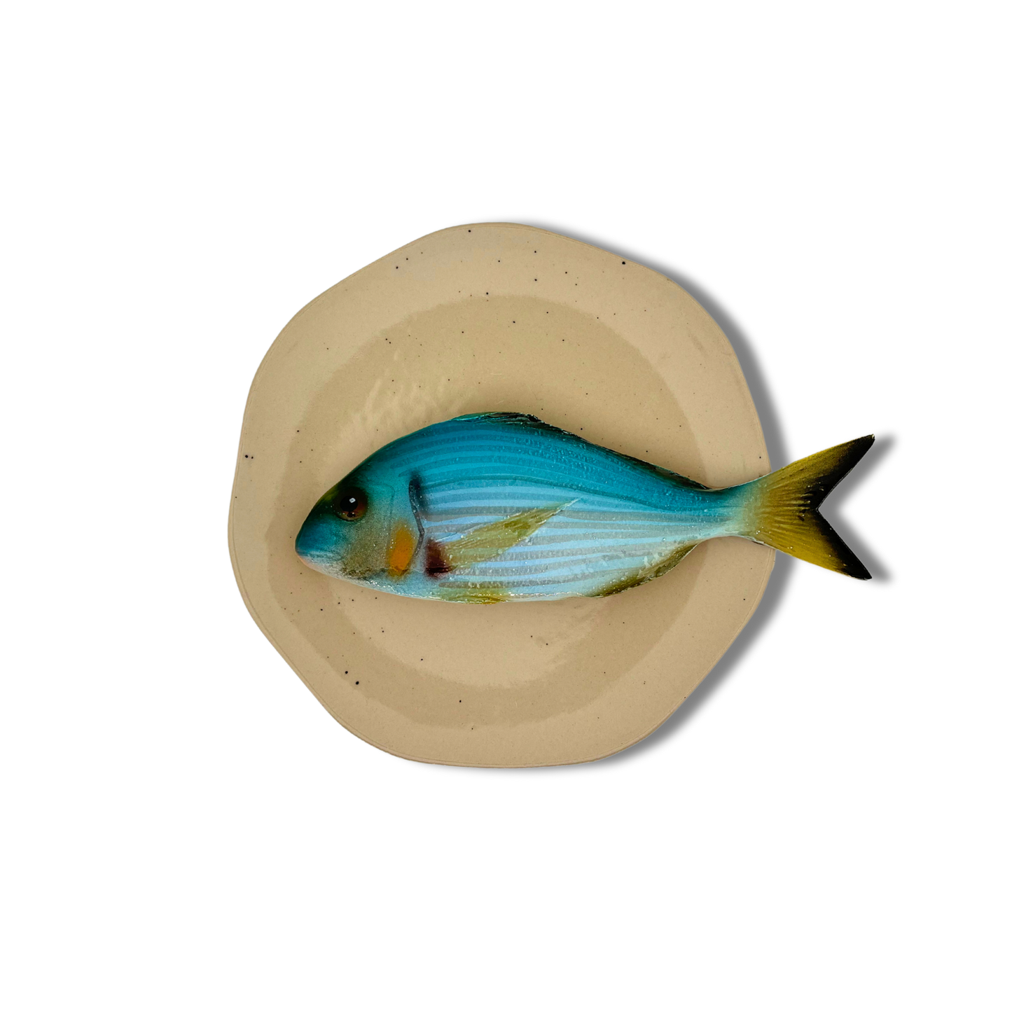 Orata medio op zand kleur bord, hoekig 20 cm