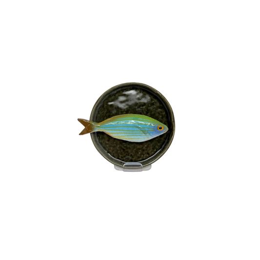 Salpa donker groen bord, rond 12cm