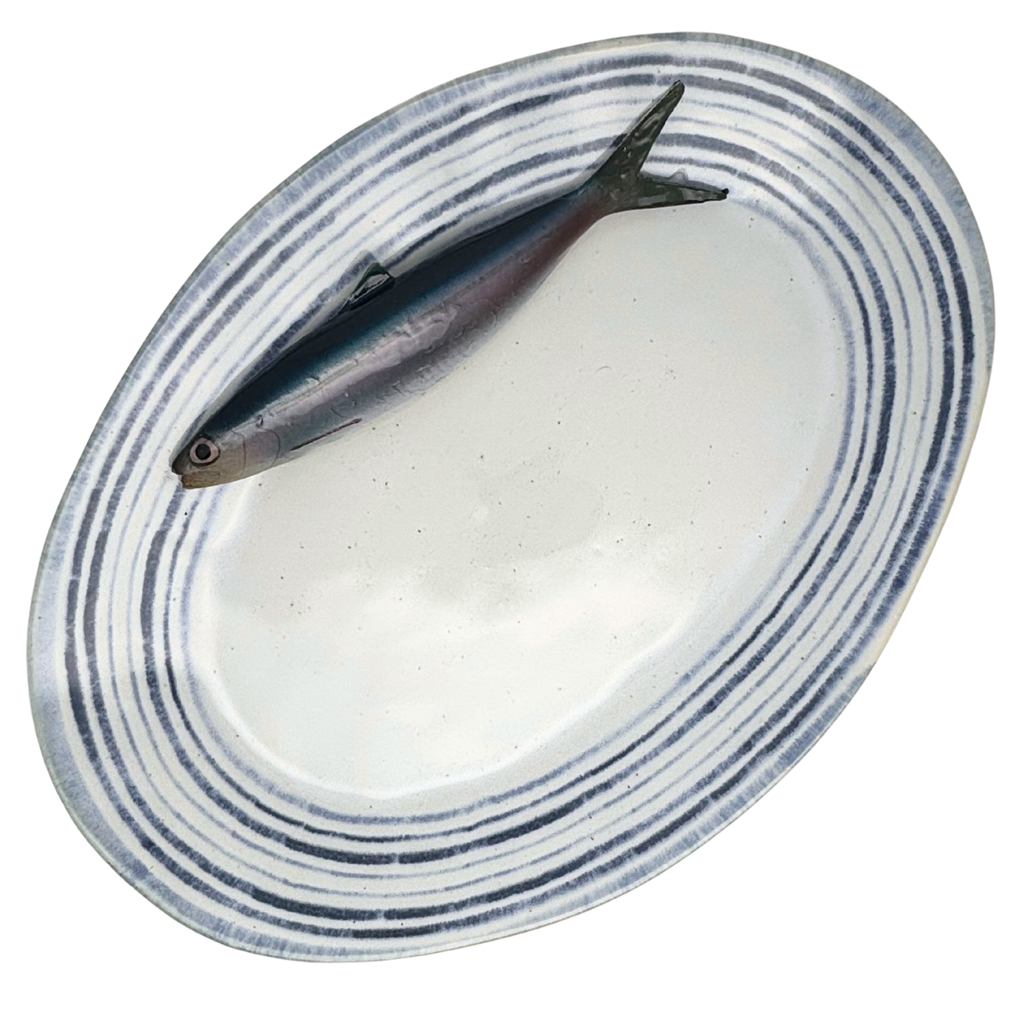 Haring/Alaccia op een groot ovaal serveerbord met blauw gestreepte rand.