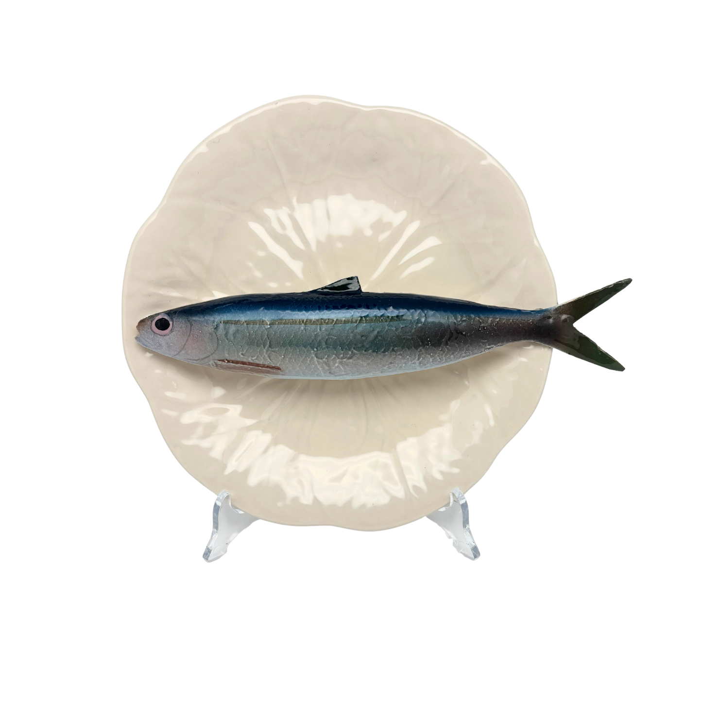 Alaccia/Haring op een créme bladvormig bord, 20 cm