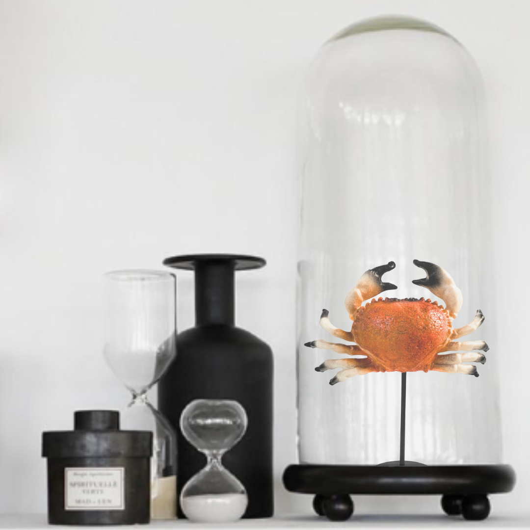 Kunst KRAB op standaard (polymeer) 25cm hoog