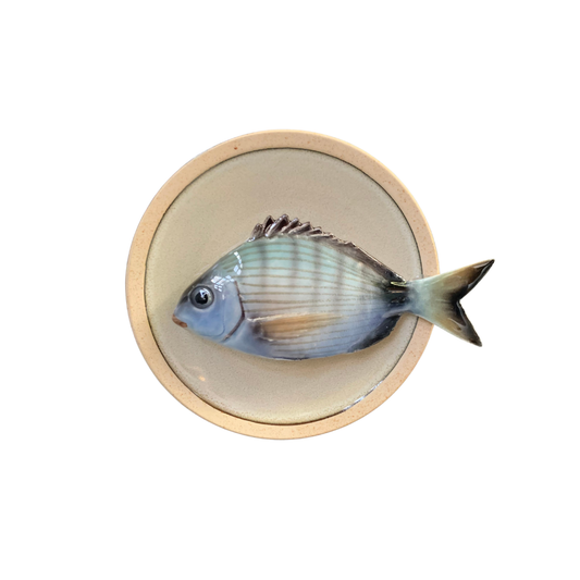 Sarago medio op zandkleur bord met lichte rand, 15cm rond