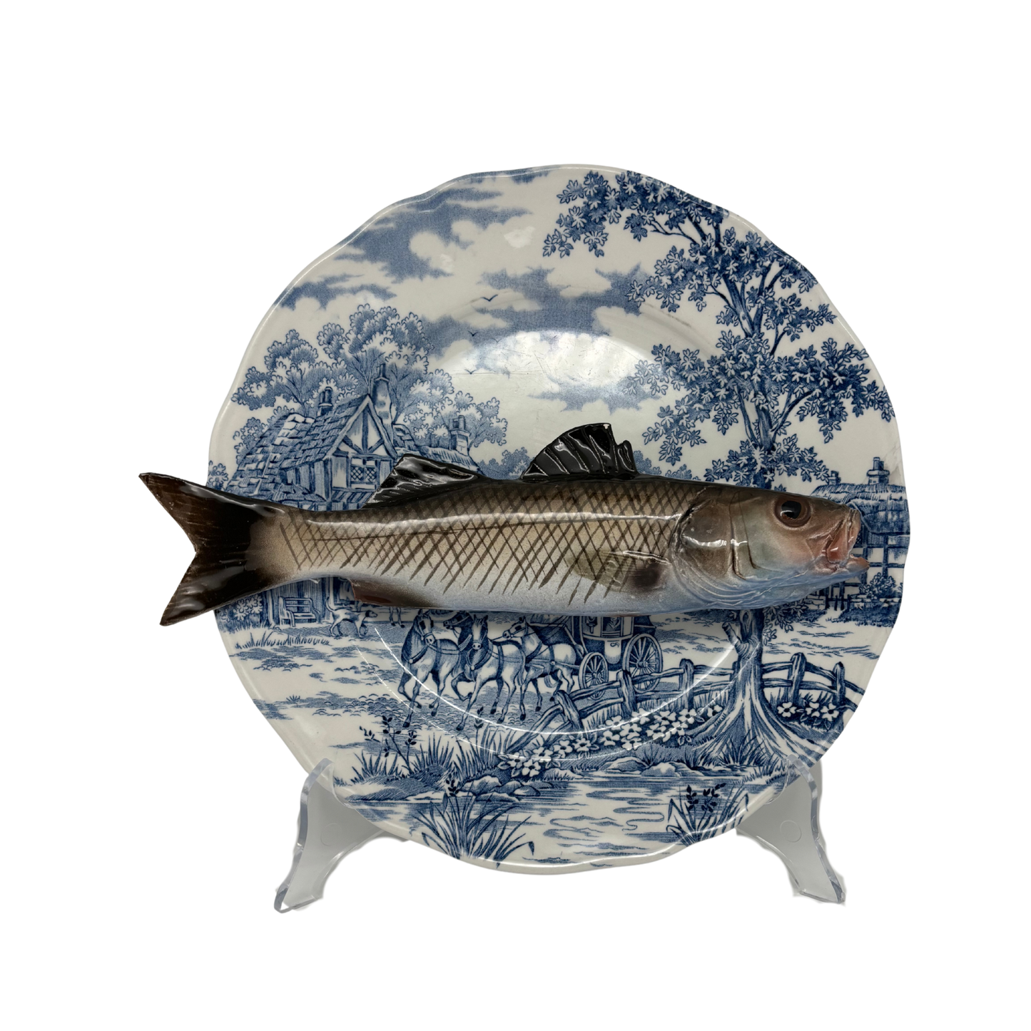 Spigola op blauw vintage bord, 25 cm rond