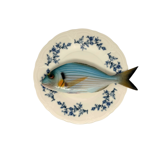 Orata medio op wit met blauwe details op decoratief bord, 21cm