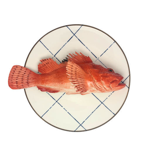 Cipolla op een blauw - wit geruit bord, 27 cm rond.