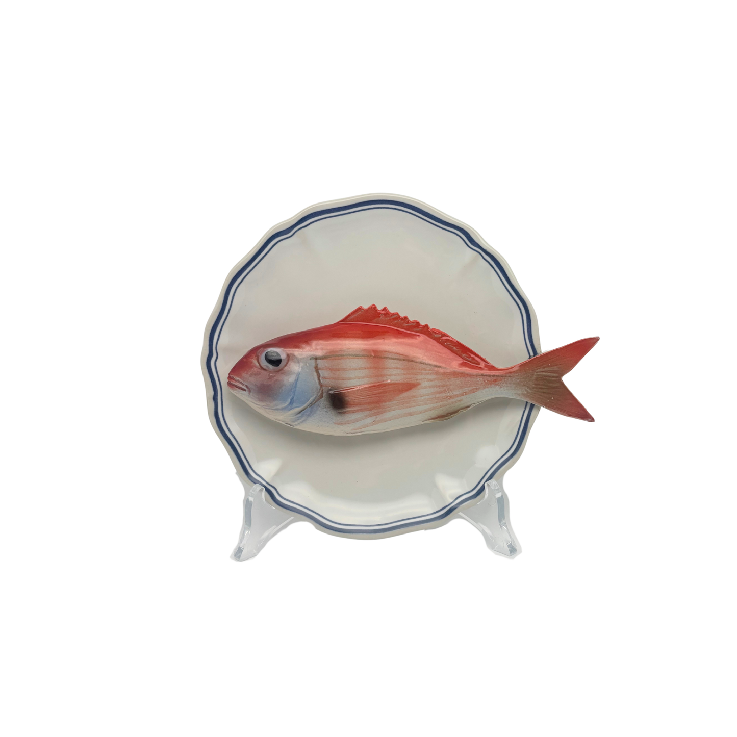 Pagello op wit bord met blauwe geschulpte rand 17 cm