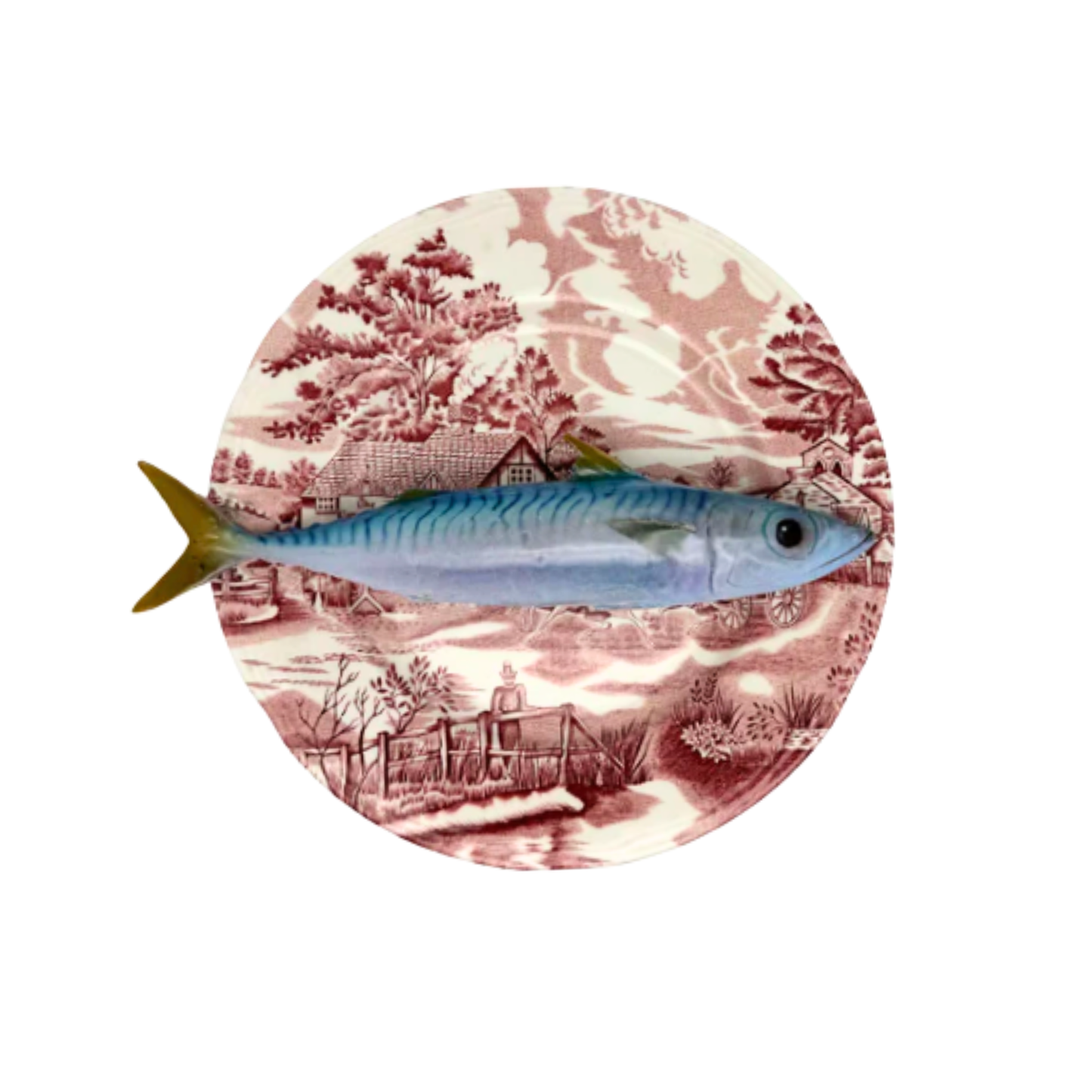 Makreel/Sugarello op roze vintage bord, 25 cm rond