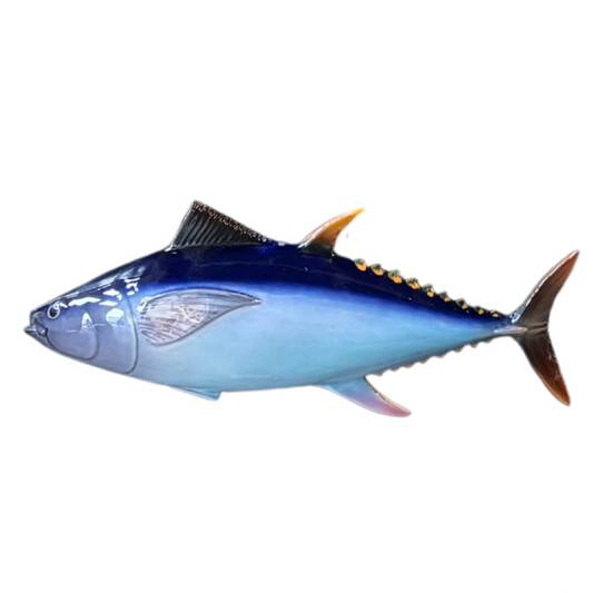 Tonno / Tonijn 40 cm